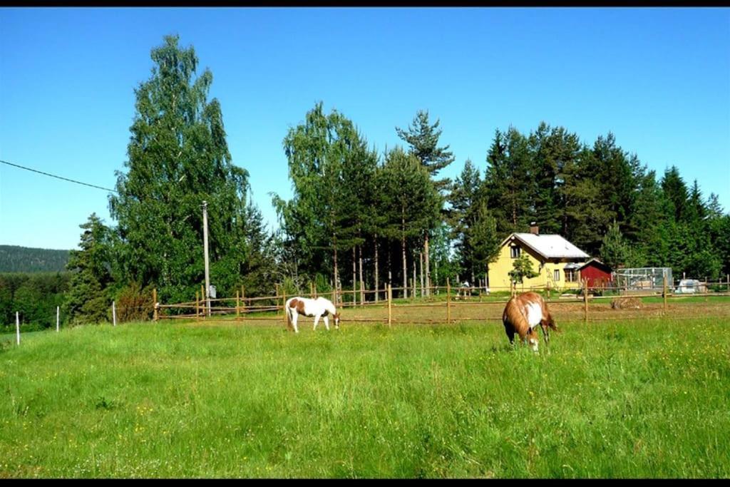 Little Forest House "Our Little Farm" Ekshärad Exteriör bild