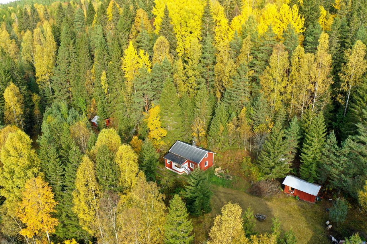 Little Forest House "Our Little Farm" Ekshärad Exteriör bild